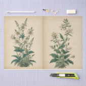 Oude Wilde Bloemen Print Tissuepapier (Craft)