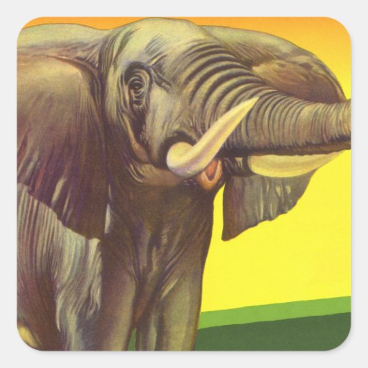 Oude wilde dieren, Afrikaanse olifant bij zonsonde Vierkante Sticker (Voorkant)