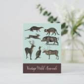 Oude Wilde Dieren Ansichtkaart Briefkaart (Staand voorkant)