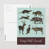 Oude Wilde Dieren Ansichtkaart Briefkaart (Voorkant / Achterkant)