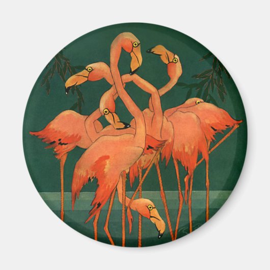 Oude wilde dieren vogels, tropische roze flamingo' magneet (Voorkant)