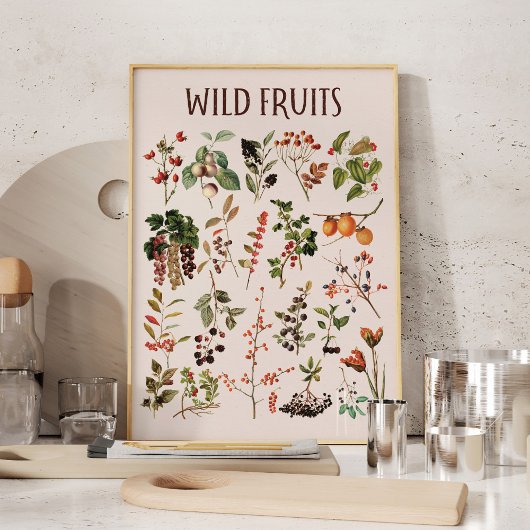 Oude Wilde Fruit Grafiek Muurkunst Poster