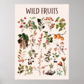 Oude Wilde Fruit Grafiek Muurkunst Poster (Voorkant)
