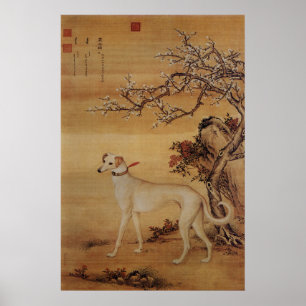 Oude witte Greyhound onder bloesems Poster