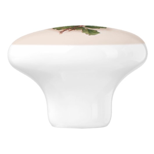 Oude witte/roze achtergrond met fashioned roses-Bu Keramische Knop (Zijkant)