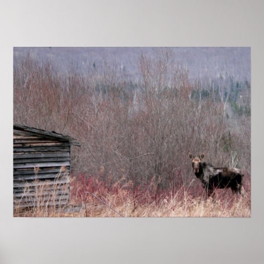 oude woning poster (Voorkant)