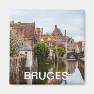 Oude woningen in Brugge, België Magneet