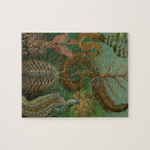 Oude wormen Annelids Chaetopoda door Ernst Haeckel Legpuzzel (Horizontaal)