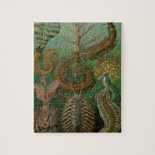 Oude wormen Annelids Chaetopoda door Ernst Haeckel Legpuzzel (Verticaal)