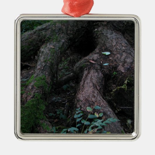 Oude wortels metalen ornament (Voorkant)