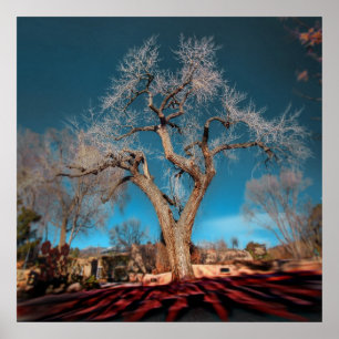 Oude wortels van Canyon Road Poster