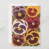 Oude zaadpaketlabels, tuin viooltjes bloemen (Voorkant)