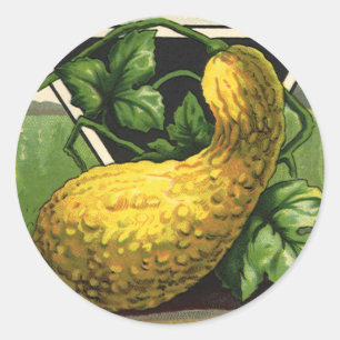 Oude Zaadpakket Label Kunst Gele Zomer Squash