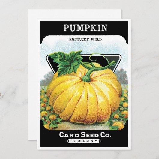 Oude zaadpakket label kunst, Halloween pompoen Kaart (Voorkant / Achterkant)