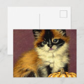 Oude-zakdoek Halloween Kat Feestdagenkaart (Voorkant / Achterkant)