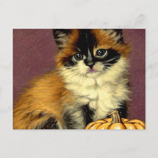 Oude-zakdoek Halloween Kat Feestdagenkaart (Voorkant)