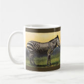 Oude zebra in de Afrikaanse savanne, wild dier Koffiemok (Links)