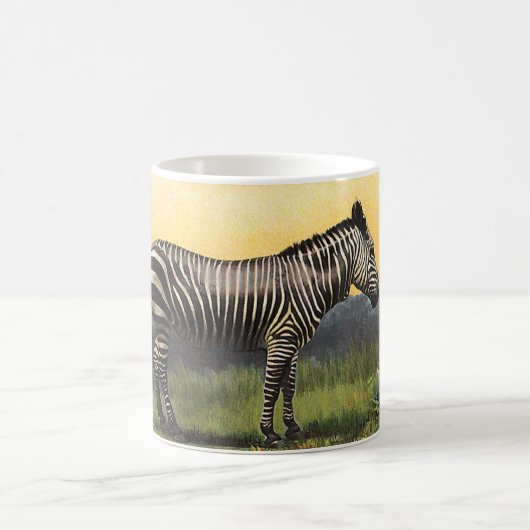 Oude zebra in de Afrikaanse savanne, wild dier Koffiemok (Center)
