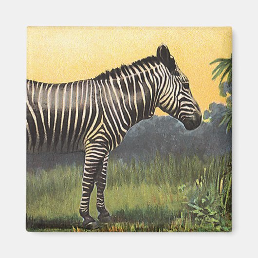 Oude zebra in de Afrikaanse savanne, wild dier Magneet (Voorkant)