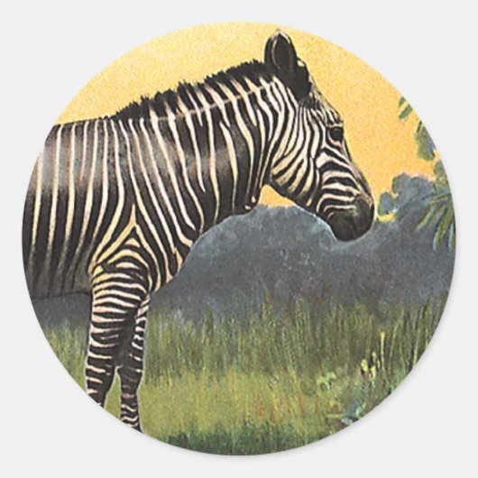 Oude zebra in de Afrikaanse savanne, wild dier Ronde Sticker (Voorkant)