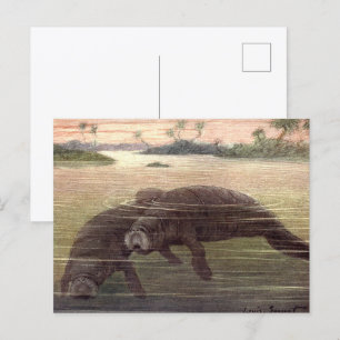 Oude zeekoeien, zeezoogdieren briefkaart