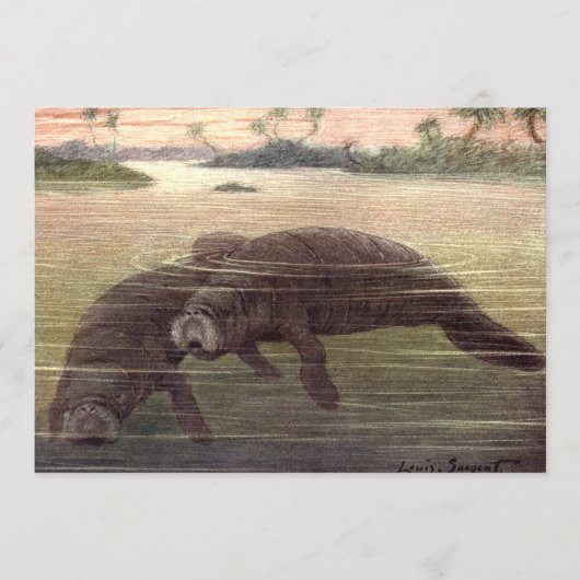 Oude zeekoeien, zeezoogdieren kaart (Voorkant)
