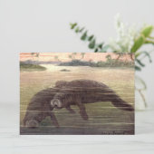 Oude zeekoeien, zeezoogdieren kaart (Staand voorkant)