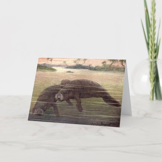Oude zeekoeien, zeezoogdieren kaart (Voorkant)