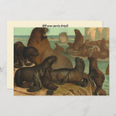 Oude zeeleeuwen op het strand, dierlijk zeeleven (Voorkant / Achterkant)