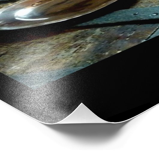 Oude zilver en eik (2) foto afdruk (Hoek)