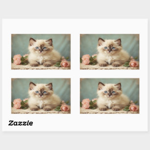 Oude Zoete Perzische Lapjeskat Kittenkat Portret Rechthoekige Sticker