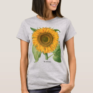 Oude zonnebloem Bloem van Basilius Besler T-shirt