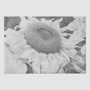 Oude zonnebloem grijs wit antieke textuur tissuepapier