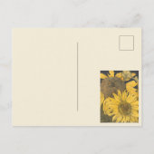 Oude Zonneschijn Herfst Bewaar de Datum Briefkaart (Achterkant)