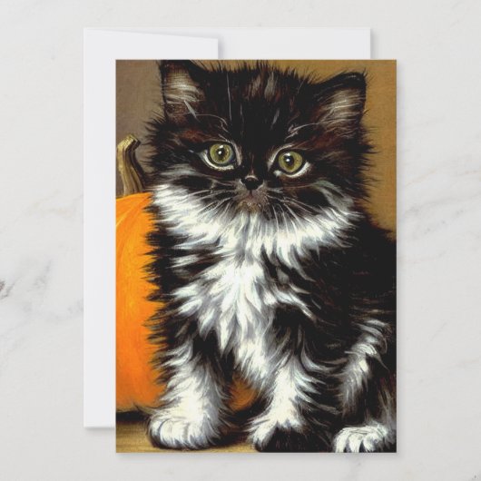 Oude zwarte en witte Halloween kat Save The Date (Voorkant)