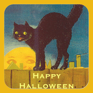 Oude Zwarte Kat Halloween Vierkante Sticker