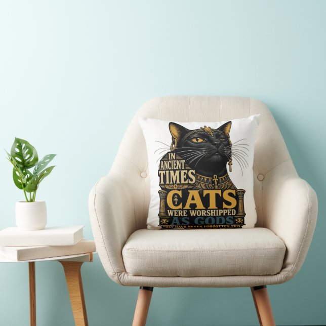 Oude Zwarte Kat Houding Kussen (Stoel)