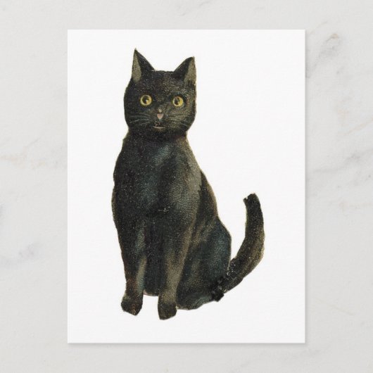 Oude zwarte kat met fashioned Halloween Briefkaart (Voorkant)