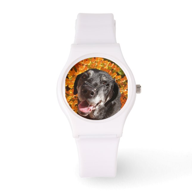 Oude zwarte labrador horloge (Voorkant)