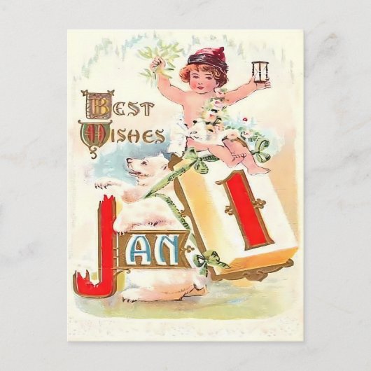 Oudejaars 'Beste Wensen' Nieuwjaarsdag Briefkaart (Voorkant)
