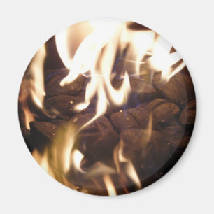 Oudejaarsavond 31 december (101) Magneet