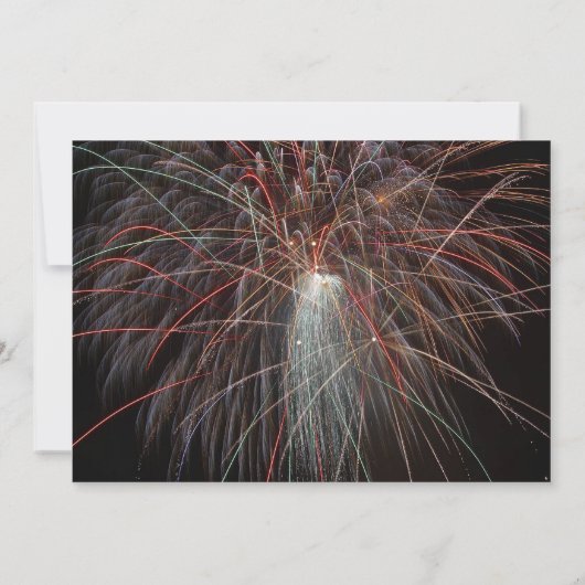 Oudejaarsavond Feesthonden en Vuurwerk Uitnodiging (Achterkant)