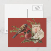 Oudejaarsvogels Feestdagenkaart (Voorkant / Achterkant)