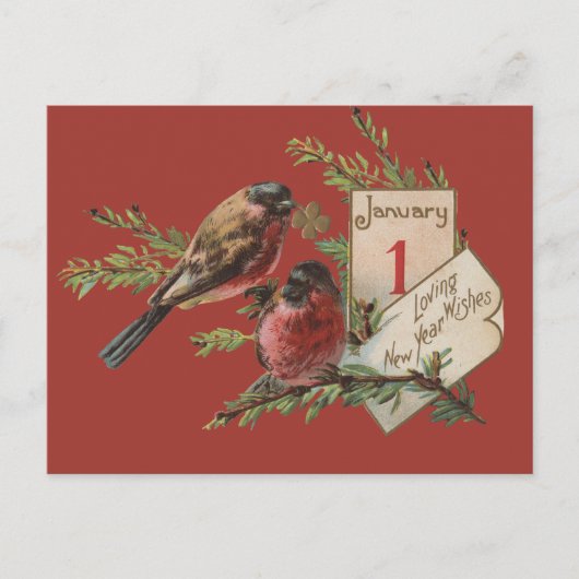 Oudejaarsvogels Feestdagenkaart (Voorkant)