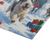 Oudengelse herdershond die rent in het Pet van Sno Snijplank (Hoek)