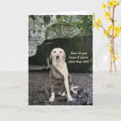 Ouder dan vuil? kaart (Gele Bloem)