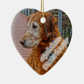 OUDER GOLDEN RETRIEVER OP DOCK KERAMISCH ORNAMENT (Rechts)