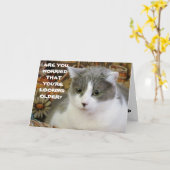 Ouder worden? Je kijkt geen dag boven de 100 Kaart (Gele Bloem)