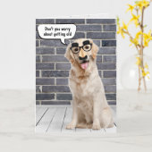 Oudere 'Birthday Golden Retriever' Kaart (Gele Bloem)