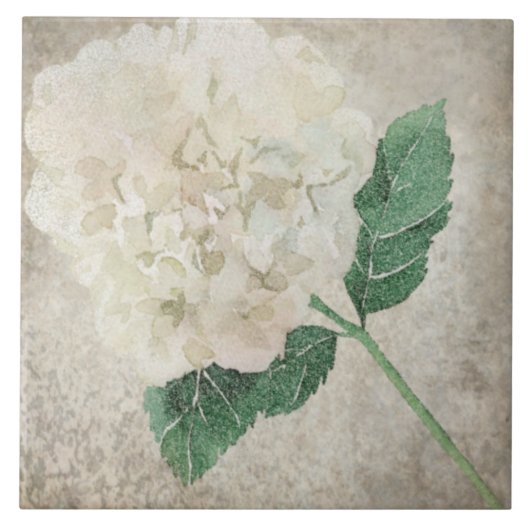 Oudere Botanische Tegel - Aqua en Bone V2 Tegeltje (Voorkant)